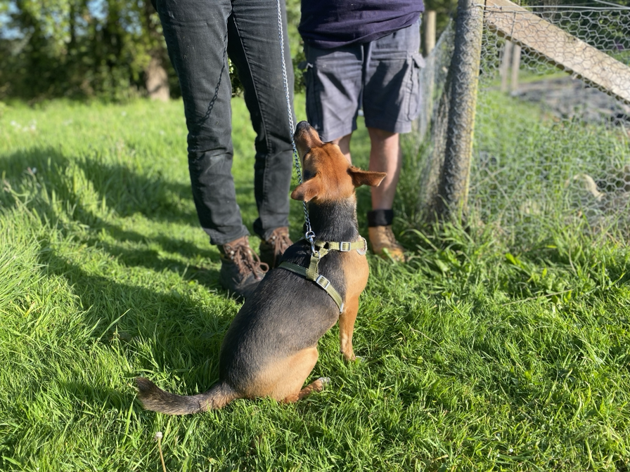 Bruce says: “It’s just a nice environment innit. It’s a nice place ...